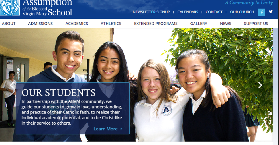 school website